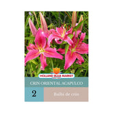 Hectarul - Bulbi de crin oriental Acapulco, 2 bulbi